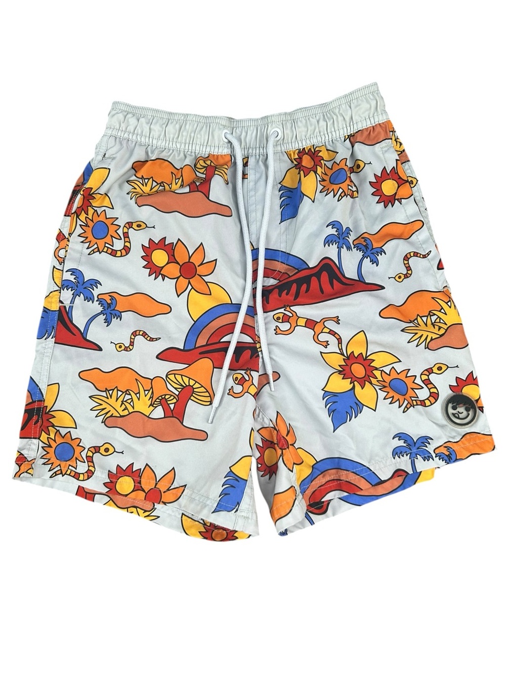 Neff Psychedelic Retro Desert Scene Swim Shorts Men's Size Small